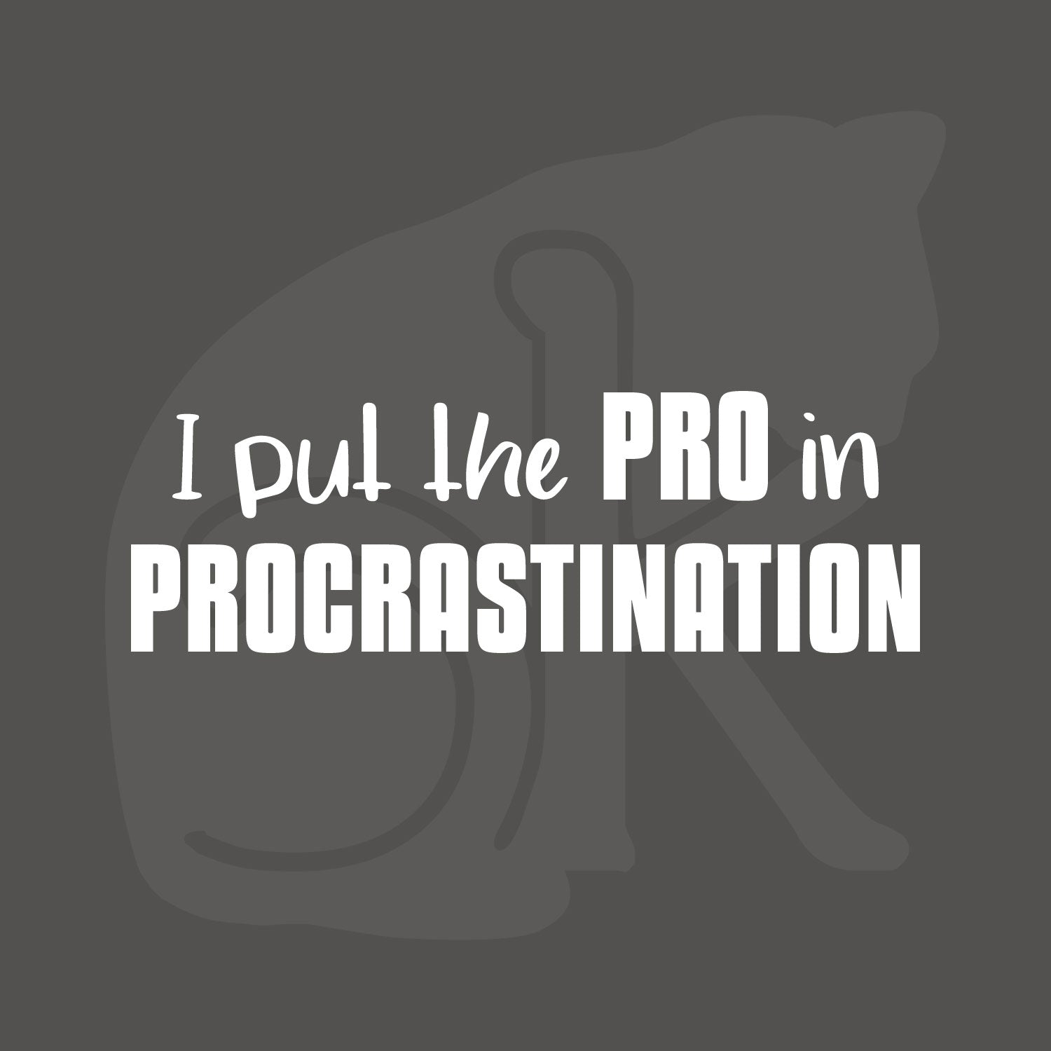 Standalone text graphic: "I put the PRO in PROCRASTINATION"